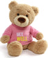 Get Well T-Shirt Teddy Bear Stuffed Animal Plush, , 12.5"